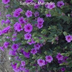 Meet your Posher, Karla