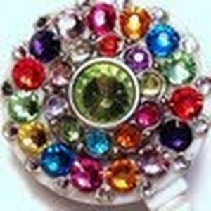 Meet your Posher, Anne