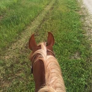 Meet your Posher, Karen