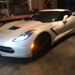 Meet your Posher, Wyatt