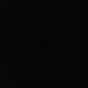 Meet your Posher, Dino