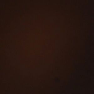 Meet your Posher, Cory