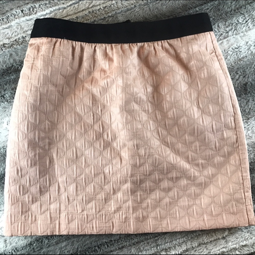 Ann Taylor loft petite skirt