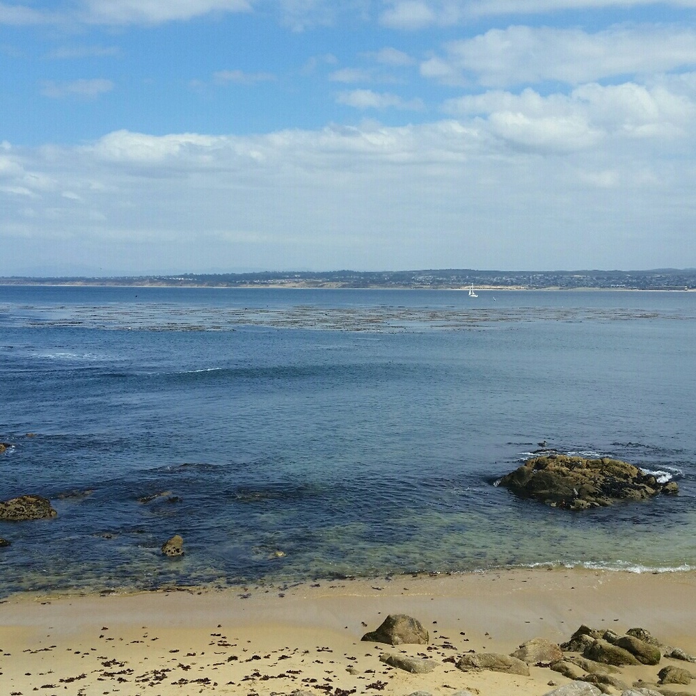 Meet your Posher, Tracy