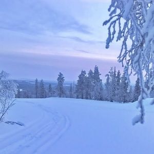 Meet your Posher, Saqib