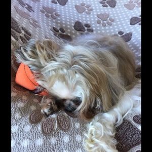 Meet your Posher, Bahareh