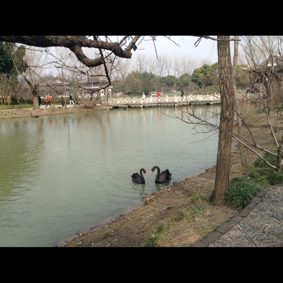 Meet your Posher, Min - Picture 1 of 1