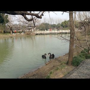 Meet your Posher, Min