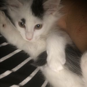 Meet your Posher, Jenny