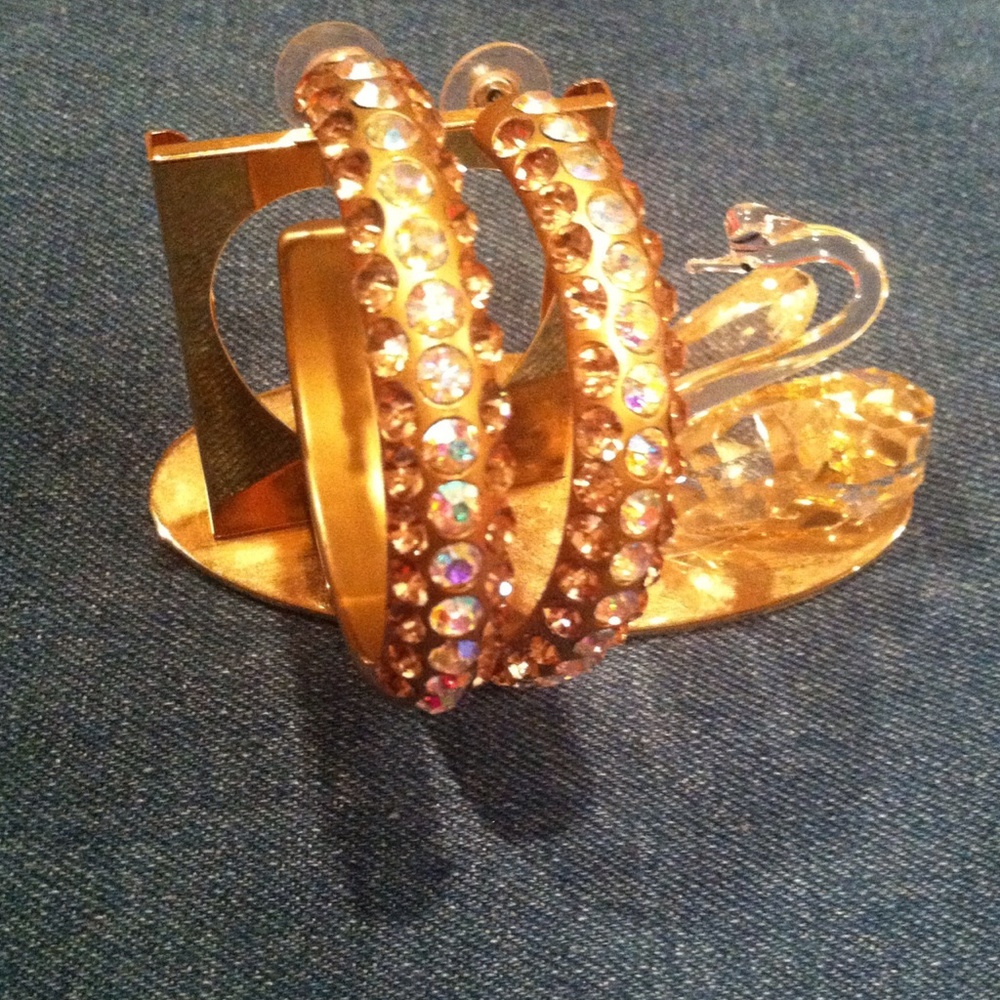 Hoop Earrings