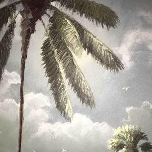 Meet your Posher, Lili