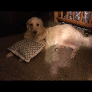 Meet your Posher, Kalisha