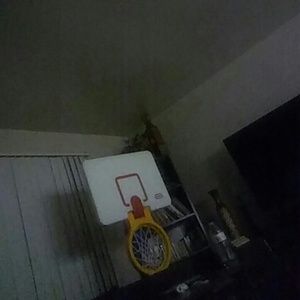 Meet your Posher, Samuel