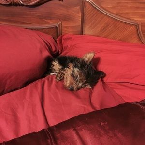 Meet your Posher, Marchia