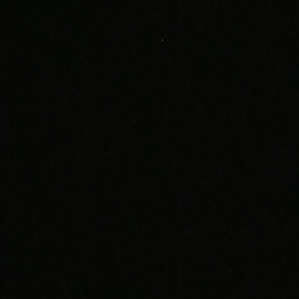 Meet your Posher, Rodney