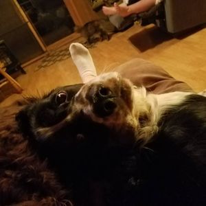 Meet your Posher, Kristen