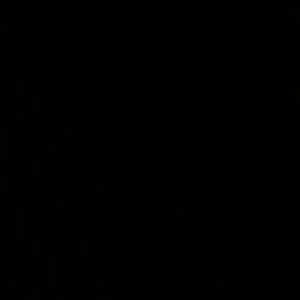 Meet your Posher, Cynthia