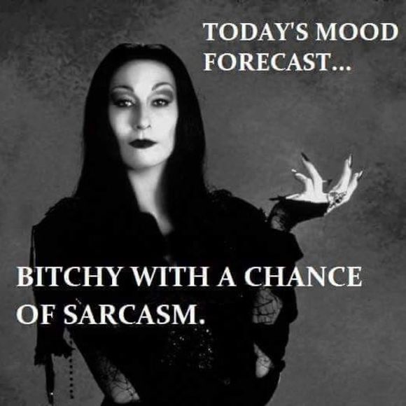 Meet your Posher, Carmela - Picture 1 of 1