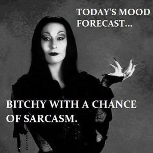 Meet your Posher, Carmela