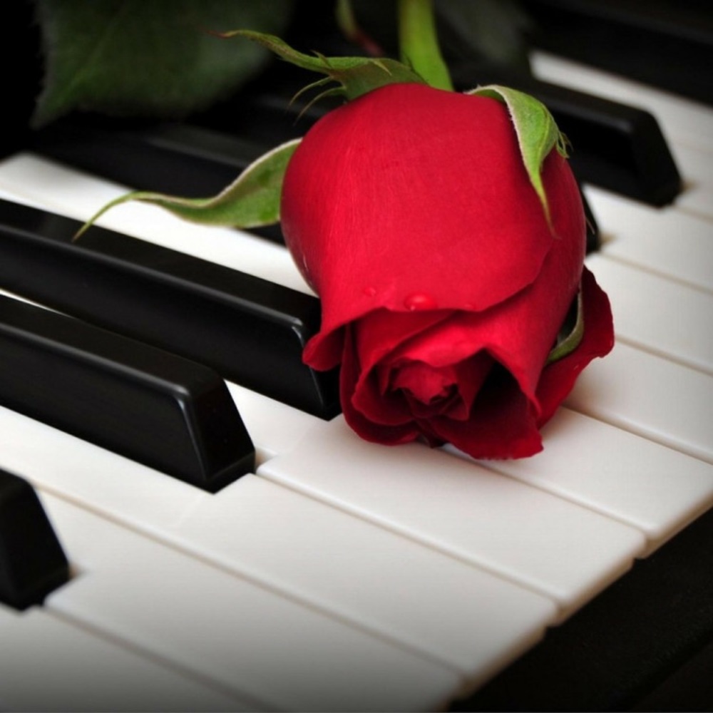 Meet your Posher, Inga