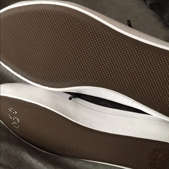 Brand new coach sneakers - Picture 3 of 3