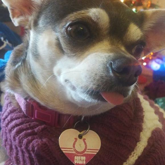 Meet your Posher, Sharon - Picture 3 of 4