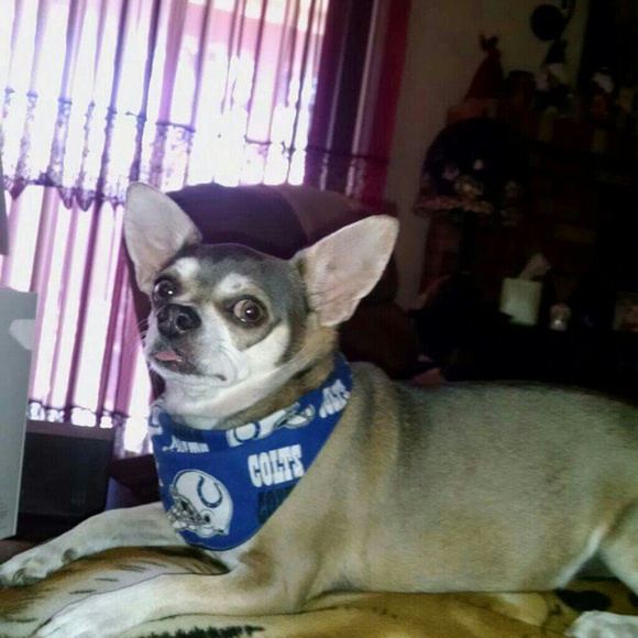 Meet your Posher, Sharon - Picture 2 of 4