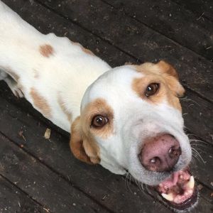 Meet your Posher, Theo