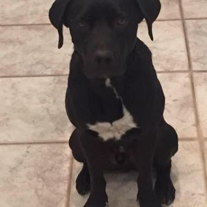 Meet your Posher, Nathan