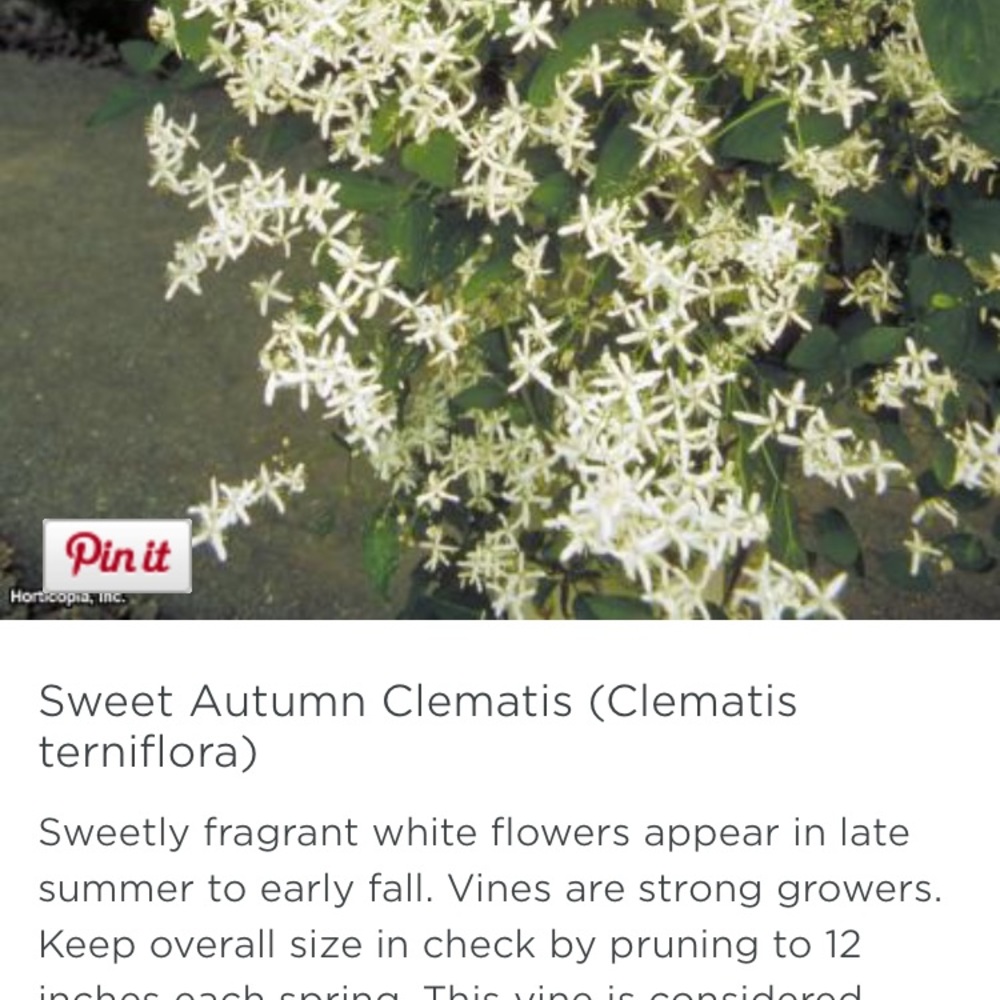 Meet your Posher, Anita