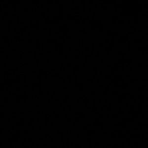 Meet your Posher, Missy