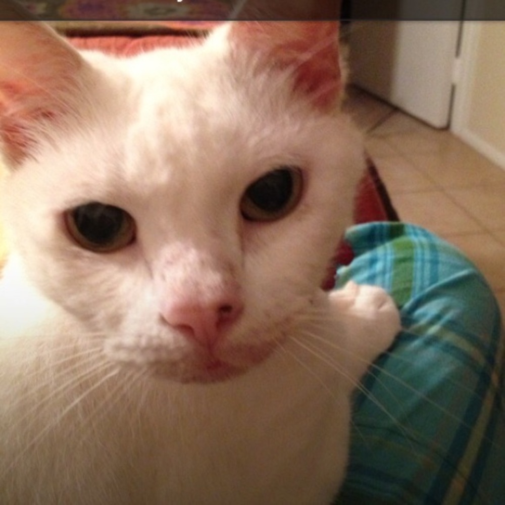 Meet your Posher, Jennifer