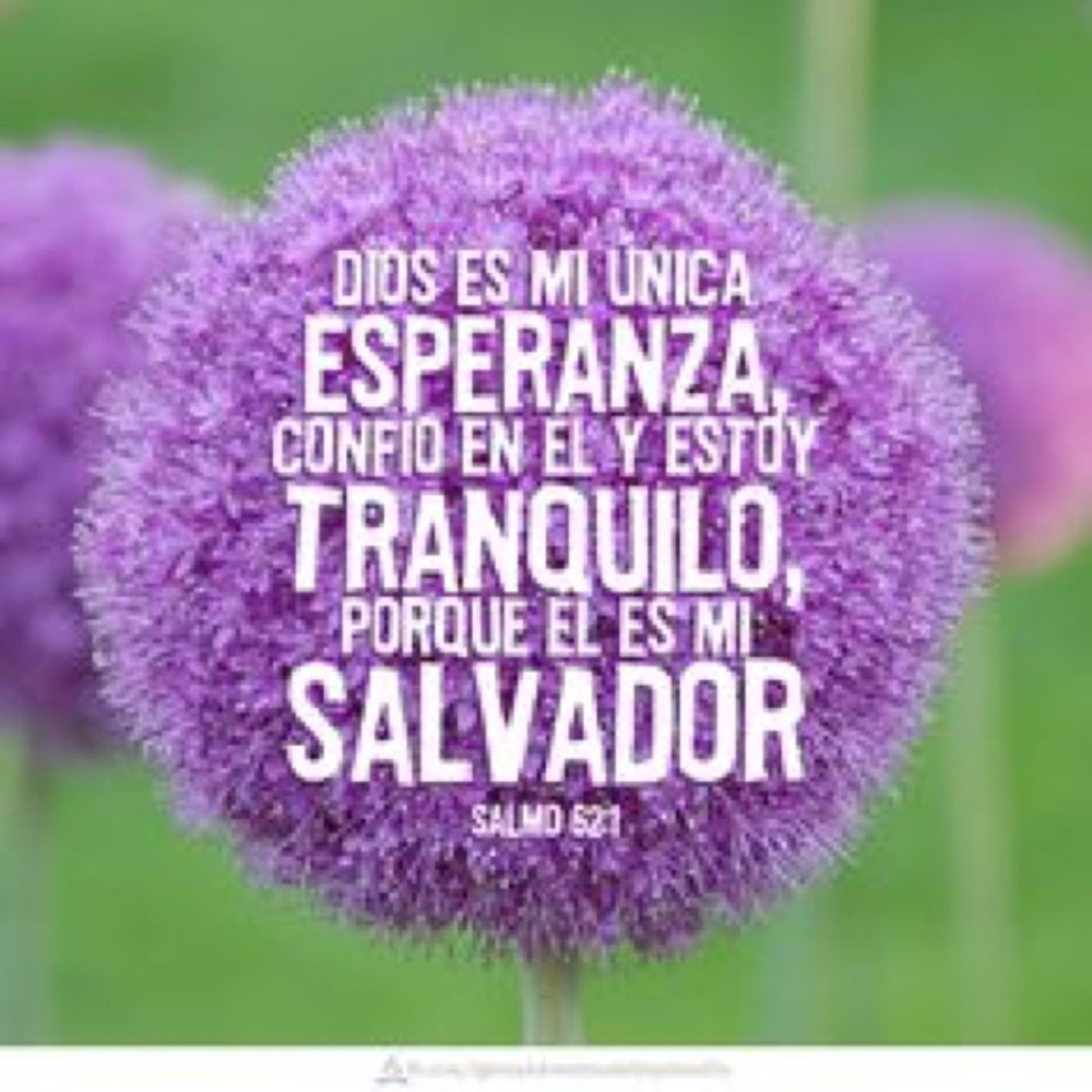 Meet your Posher, Rosa