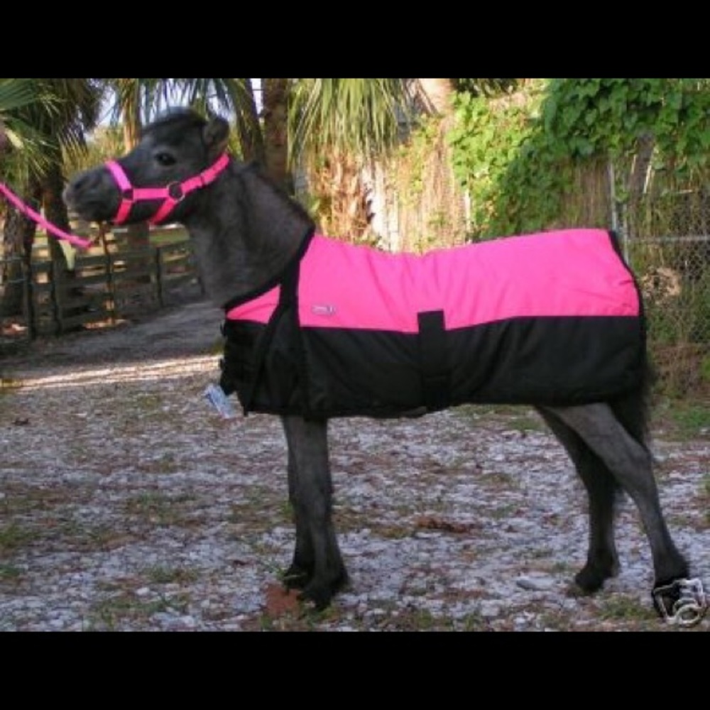 Union Bag Co. Weekender Bag in pink and dark grey