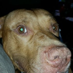 Meet your Posher, Linda