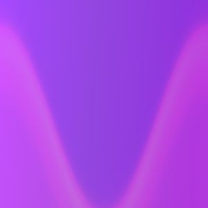 Meet your Posher, Ellis