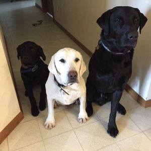 Meet your Posher, Erika