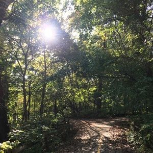 Meet your Posher, Cassie