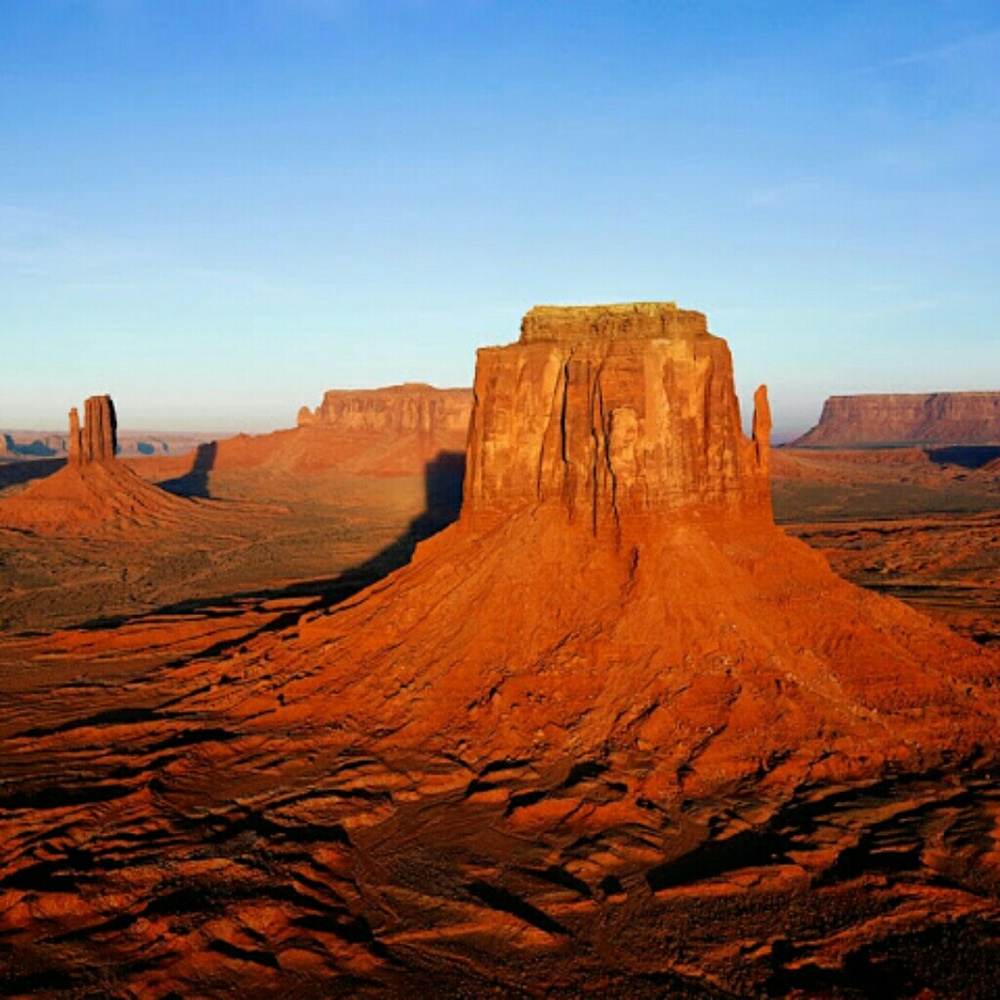 Meet your Posher, Tim