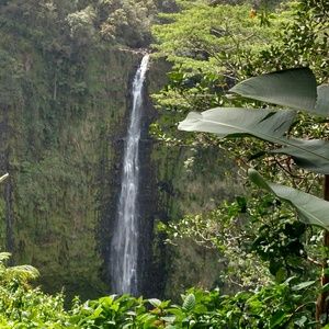 Meet your Posher, Ann