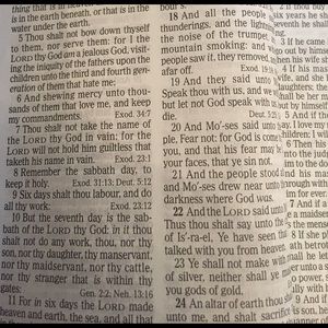 Meet your Posher, Delicia