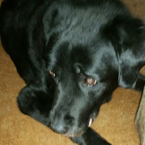 Meet your Posher, Kristy lyn