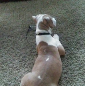 Meet your Posher, Joel