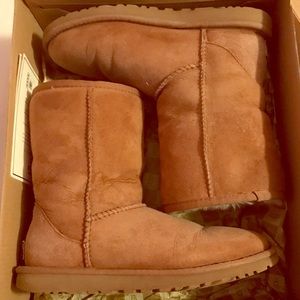 Chestnut classic uggs size 6, lightly used