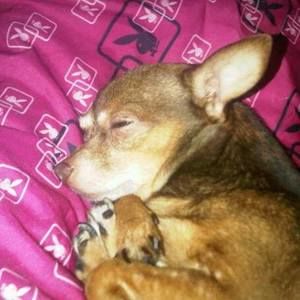 Meet your Posher, Deborah