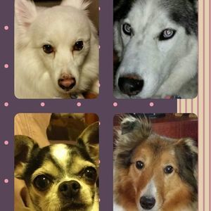 Meet your Posher, Kim