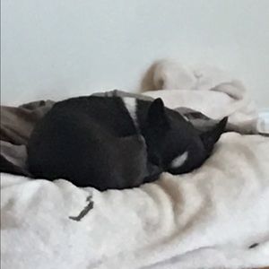 Meet your Posher, Tammy