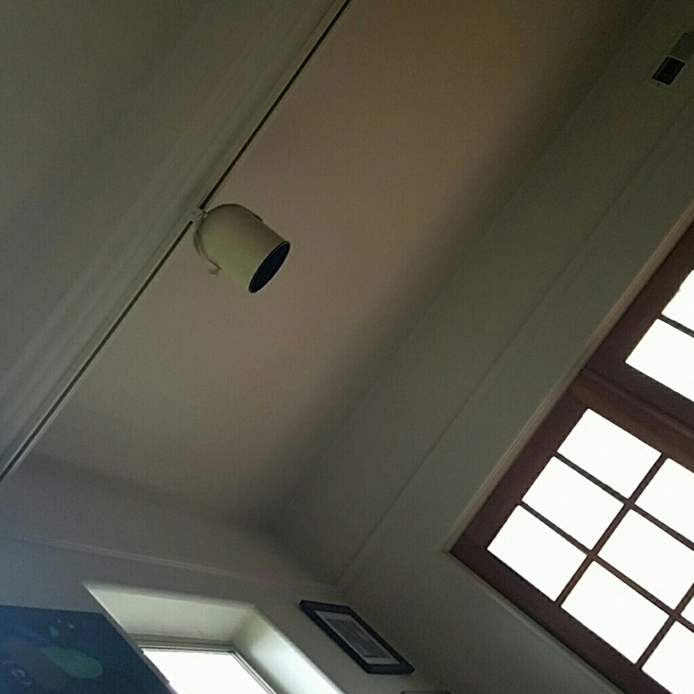 Meet your Posher, Jaali