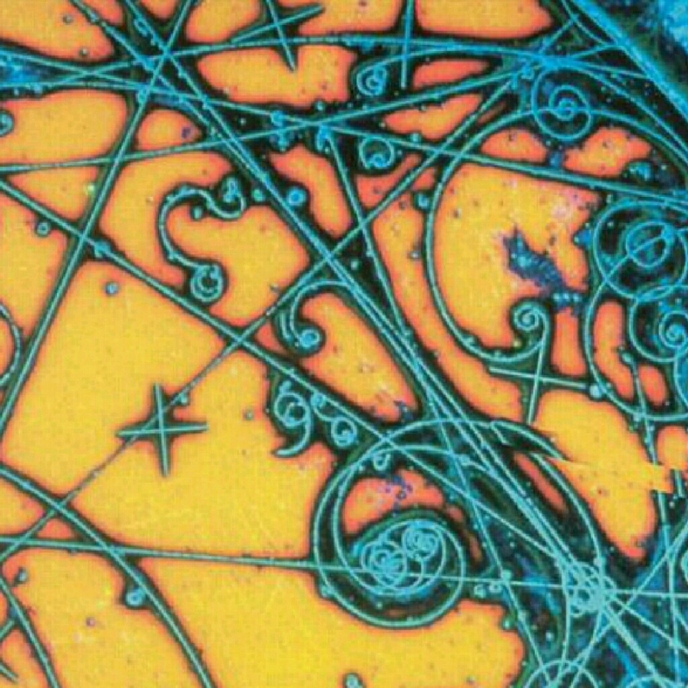 Meet your Posher, Rosemary