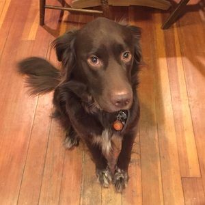 Meet your Posher, Lucy